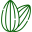 Olive Icon