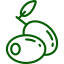 Almond Icon
